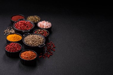 Baharat çeşitleri, tüm baharatlar, zerdeçal, paprika, koyu beton arka planda seramik kaselerde tuz.