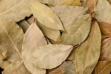 Kurumuş defne yaprakları, baharat, evde pişirmek için baharat. Lezzetli sağlıklı yemek.