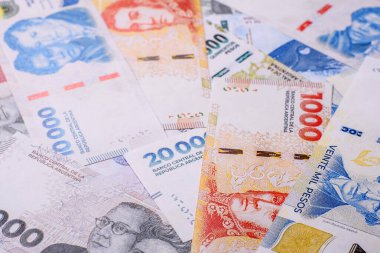 Kağıt para, Arjantin 'in farklı banknotları, peso. Finansal yatırım kavramı