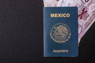 Karanlık arka planda bir Meksika vatandaşının uluslararası biyometrik pasaportu