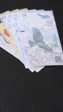 Karanlık arka planda Arjantin vatandaşının uluslararası biyometrik pasaportu