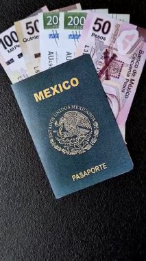 Karanlık arka planda bir Meksika vatandaşının uluslararası biyometrik pasaportu