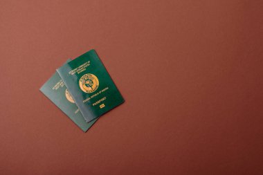 Nijerya Uluslararası Küresel İş, Göç ve Seyahat Pasaportu