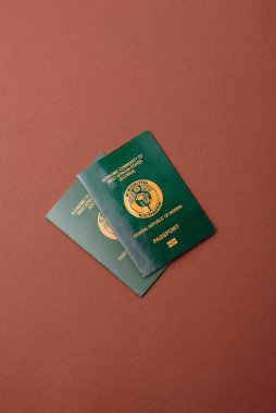 Nijerya Uluslararası Küresel İş, Göç ve Seyahat Pasaportu