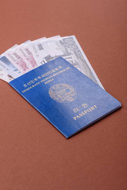 Kuzey Kore Uluslararası Küresel İş, Göç ve Seyahat Pasaportu