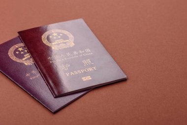Çin Vatandaş Pasaportu, Küresel iş, göç veya seyahat için Çin belgesi