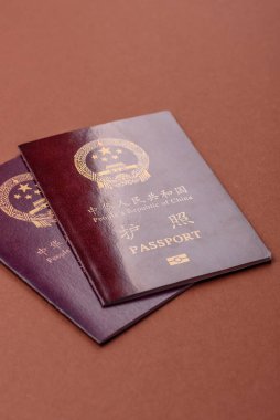 Çin Vatandaş Pasaportu, Küresel iş, göç veya seyahat için Çin belgesi