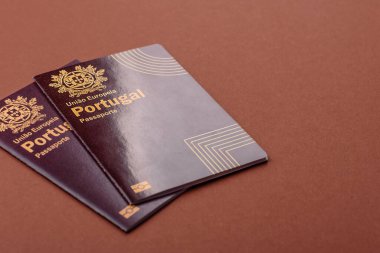 Portekiz pasaportu, Portekizce küresel iş, göç veya seyahat belgesi.