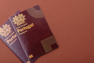 Portekiz pasaportu, Portekizce küresel iş, göç veya seyahat belgesi.