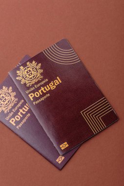 Portekiz pasaportu, Portekizce küresel iş, göç veya seyahat belgesi.