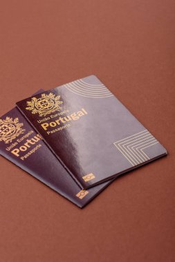 Portekiz pasaportu, Portekizce küresel iş, göç veya seyahat belgesi.