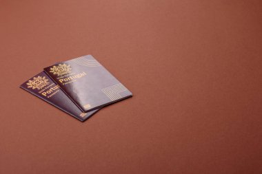 Portekiz pasaportu, Portekizce küresel iş, göç veya seyahat belgesi.