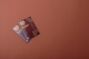 Portekiz pasaportu, Portekizce küresel iş, göç veya seyahat belgesi.