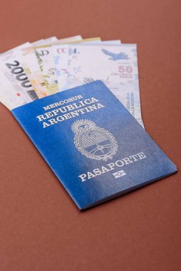 Seyahat etmek, uçmak ve iş yapmak için Arjantin pasaportu. Arjantin belgesi, sınırı geçmek için kimlik