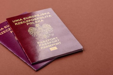 Polonya pasaportu seyahat, uçmak ve iş yapmak için. Polonya belgesi, sınırı geçmek için kimlik