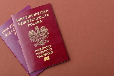 Polonya pasaportu seyahat, uçmak ve iş yapmak için. Polonya belgesi, sınırı geçmek için kimlik