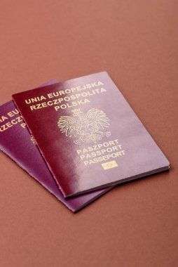 Polonya pasaportu seyahat, uçmak ve iş yapmak için. Polonya belgesi, sınırı geçmek için kimlik