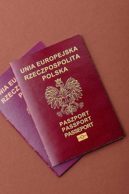 Polonya pasaportu seyahat, uçmak ve iş yapmak için. Polonya belgesi, sınırı geçmek için kimlik