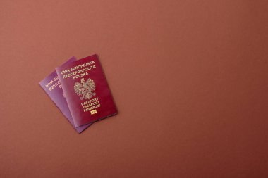 Polonya pasaportu seyahat, uçmak ve iş yapmak için. Polonya belgesi, sınırı geçmek için kimlik