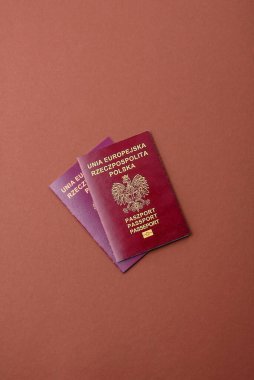 Polonya pasaportu seyahat, uçmak ve iş yapmak için. Polonya belgesi, sınırı geçmek için kimlik