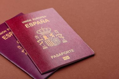 Seyahat, uçmak ve iş yapmak için İspanya pasaportu. İspanyolca belge, sınırı geçmek için kimlik