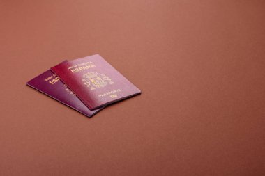 Seyahat, uçmak ve iş yapmak için İspanya pasaportu. İspanyolca belge, sınırı geçmek için kimlik
