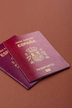 Seyahat, uçmak ve iş yapmak için İspanya pasaportu. İspanyolca belge, sınırı geçmek için kimlik