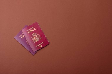 Seyahat, uçmak ve iş yapmak için İspanya pasaportu. İspanyolca belge, sınırı geçmek için kimlik