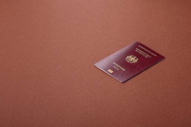 Alman pasaportu, Alman seyahat belgesi, sınır kapısı, iş amaçlı.