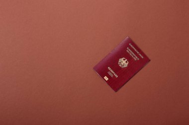 Alman pasaportu, Alman seyahat belgesi, sınır kapısı, iş amaçlı.