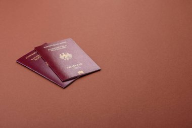 Alman pasaportu, Alman seyahat belgesi, sınır kapısı, iş amaçlı.