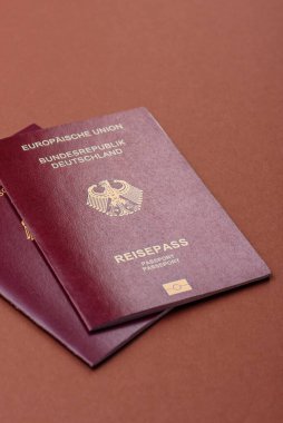 Alman pasaportu, Alman seyahat belgesi, sınır kapısı, iş amaçlı.