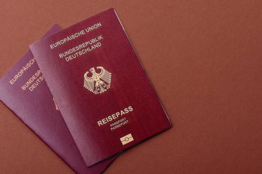 Alman pasaportu, Alman seyahat belgesi, sınır kapısı, iş amaçlı.