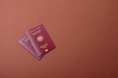 Alman pasaportu, Alman seyahat belgesi, sınır kapısı, iş amaçlı.