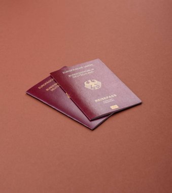 Alman pasaportu, Alman seyahat belgesi, sınır kapısı, iş amaçlı.