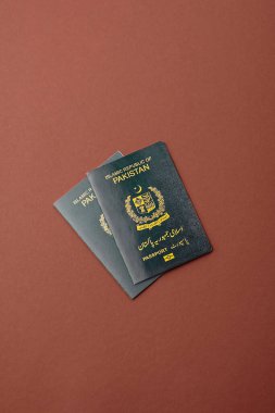 Küresel iş, göç ve seyahat için Pakistan Uluslararası Vatandaş Pasaportu