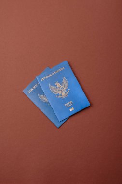 Seyahat, uçmak ve iş yapmak için Endonezya pasaportu. Endonezya belgesi, sınırı geçmek için kimlik