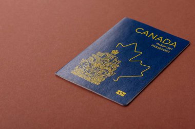 Seyahat etmek, uçmak ve iş yapmak için Kanada pasaportu. Kanada belgesi, sınırı geçmek için kimlik