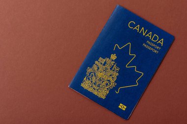Seyahat etmek, uçmak ve iş yapmak için Kanada pasaportu. Kanada belgesi, sınırı geçmek için kimlik