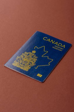 Seyahat etmek, uçmak ve iş yapmak için Kanada pasaportu. Kanada belgesi, sınırı geçmek için kimlik