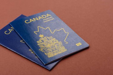 Seyahat etmek, uçmak ve iş yapmak için Kanada pasaportu. Kanada belgesi, sınırı geçmek için kimlik