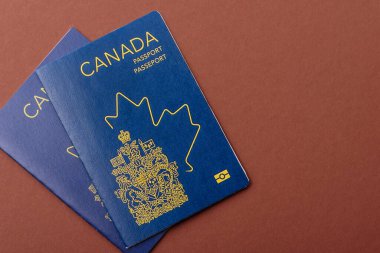 Seyahat etmek, uçmak ve iş yapmak için Kanada pasaportu. Kanada belgesi, sınırı geçmek için kimlik