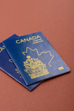 Seyahat etmek, uçmak ve iş yapmak için Kanada pasaportu. Kanada belgesi, sınırı geçmek için kimlik