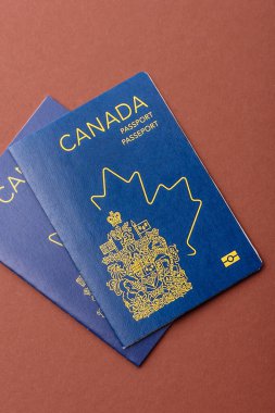 Seyahat etmek, uçmak ve iş yapmak için Kanada pasaportu. Kanada belgesi, sınırı geçmek için kimlik