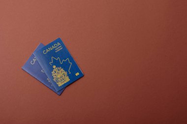 Seyahat etmek, uçmak ve iş yapmak için Kanada pasaportu. Kanada belgesi, sınırı geçmek için kimlik
