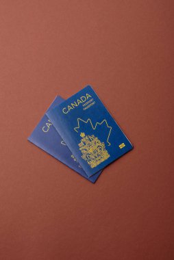 Seyahat etmek, uçmak ve iş yapmak için Kanada pasaportu. Kanada belgesi, sınırı geçmek için kimlik