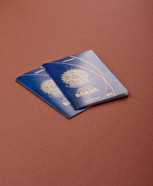 Seyahat, uçmak ve iş yapmak için Brezilya pasaportu. Brezilya belgesi, sınırı geçmek için kimlik