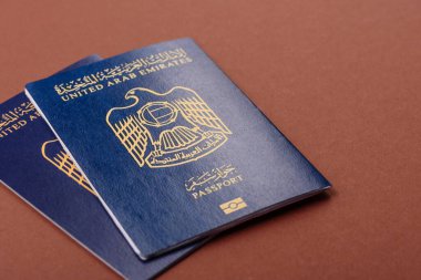 Seyahat etmek, uçmak ve iş yapmak için OAE pasaportu. Sınırı geçmek için Arapça belge