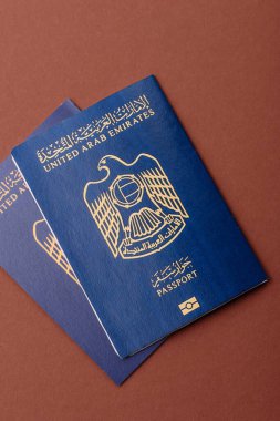Seyahat etmek, uçmak ve iş yapmak için OAE pasaportu. Sınırı geçmek için Arapça belge
