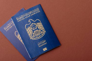 Seyahat etmek, uçmak ve iş yapmak için OAE pasaportu. Sınırı geçmek için Arapça belge